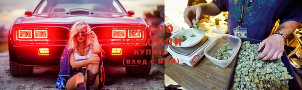 бошки Балахна