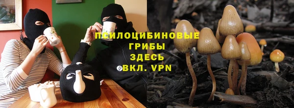 бошки Балахна