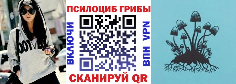 Псилоцибиновые грибы MAGIC MUSHROOMS  OMG маркетплейс  Теберда 
