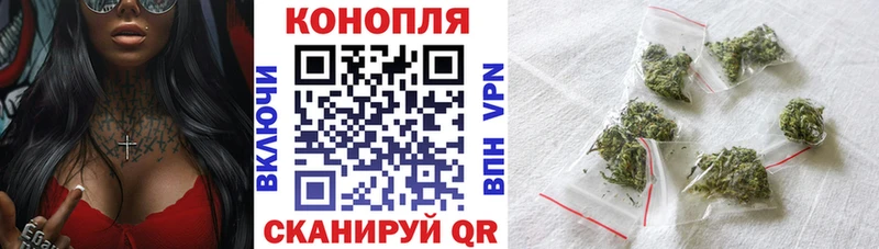Бошки Шишки семена  закладки  hydra ссылки  Теберда 